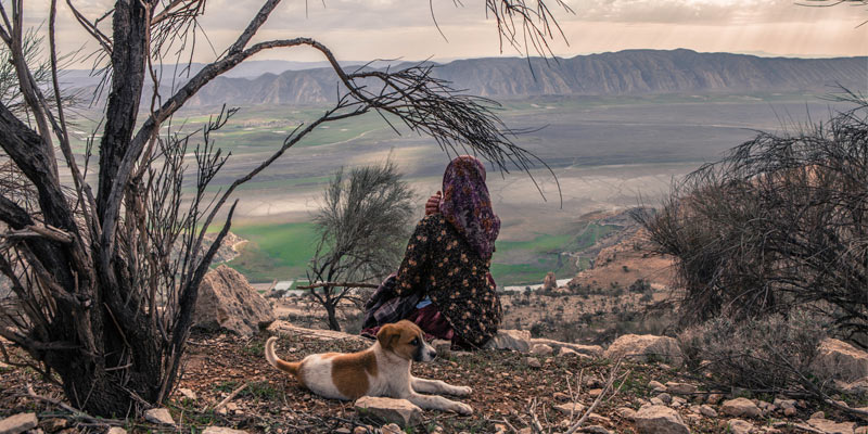Nomads of Iran-Termeh Travel